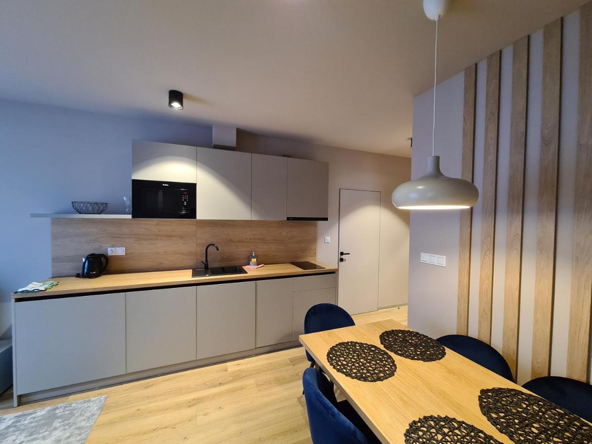 Apartament D2 Karpatia - 5D Apartamenty Karpacz Kültér fotó